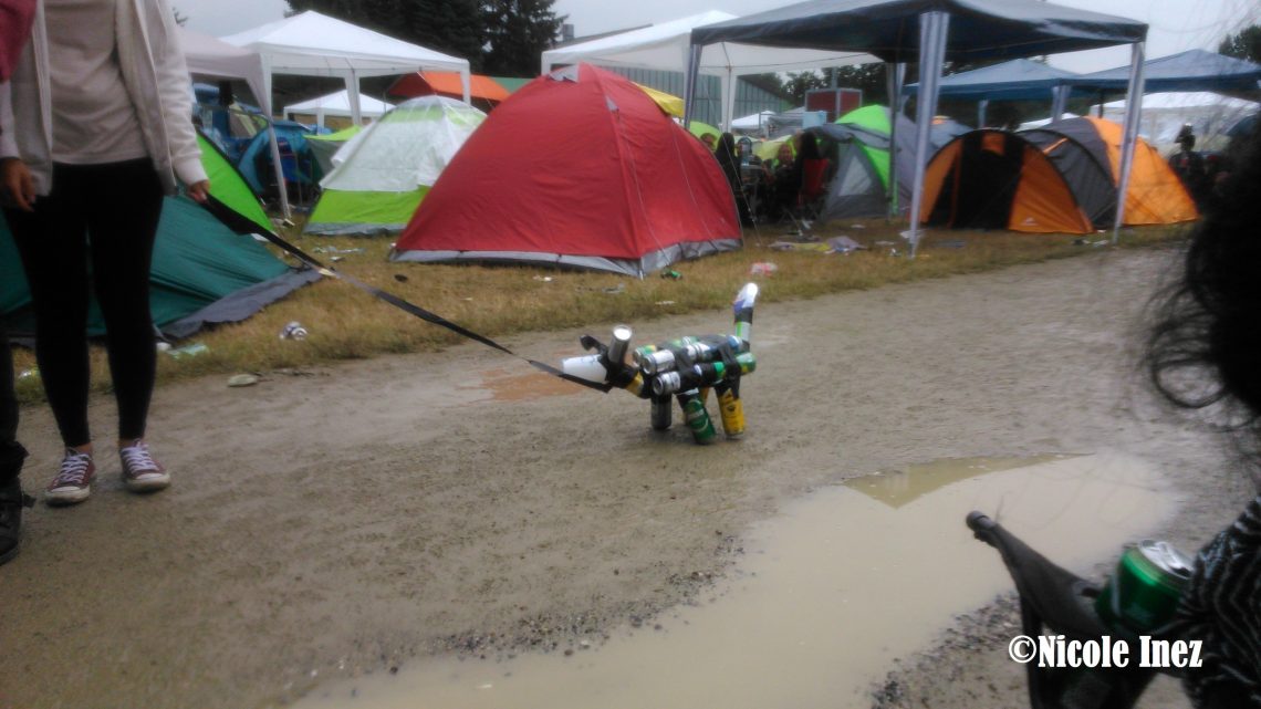 Wie kann man Festivalbesucher wieder in die Gesellschaft integrieren?